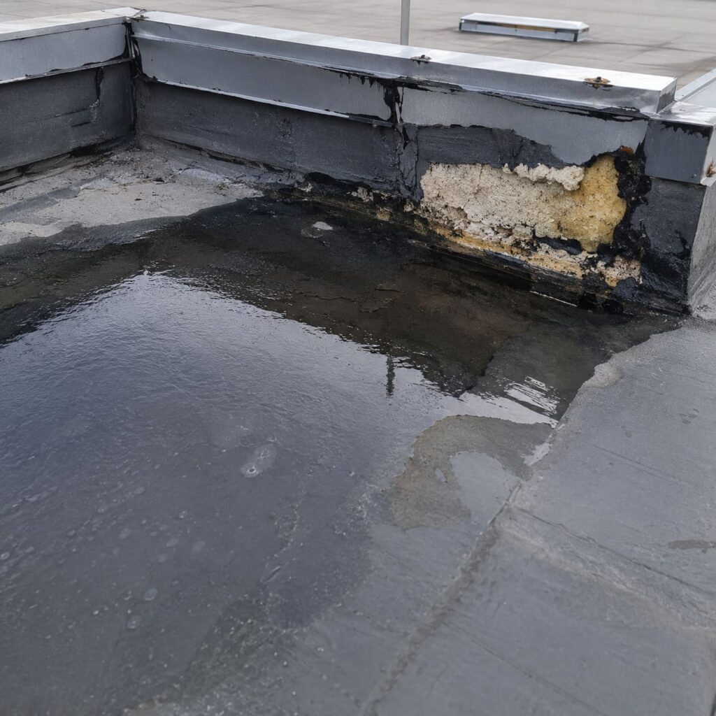 Leaking commercial roof requiring repair before water damage escalates